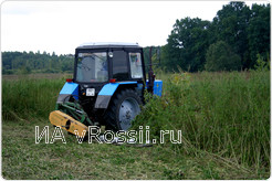 Периодически ответственные службы на территории Курской области уничтожают целые поля конопли.