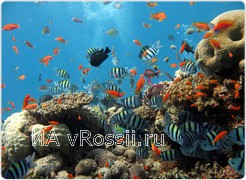 <em>Потрясающее по красоте море!</em>