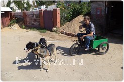 Дмитрий, Монти и Волкан