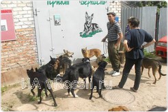 Верность хозяину безмерна