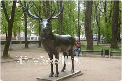 Олень